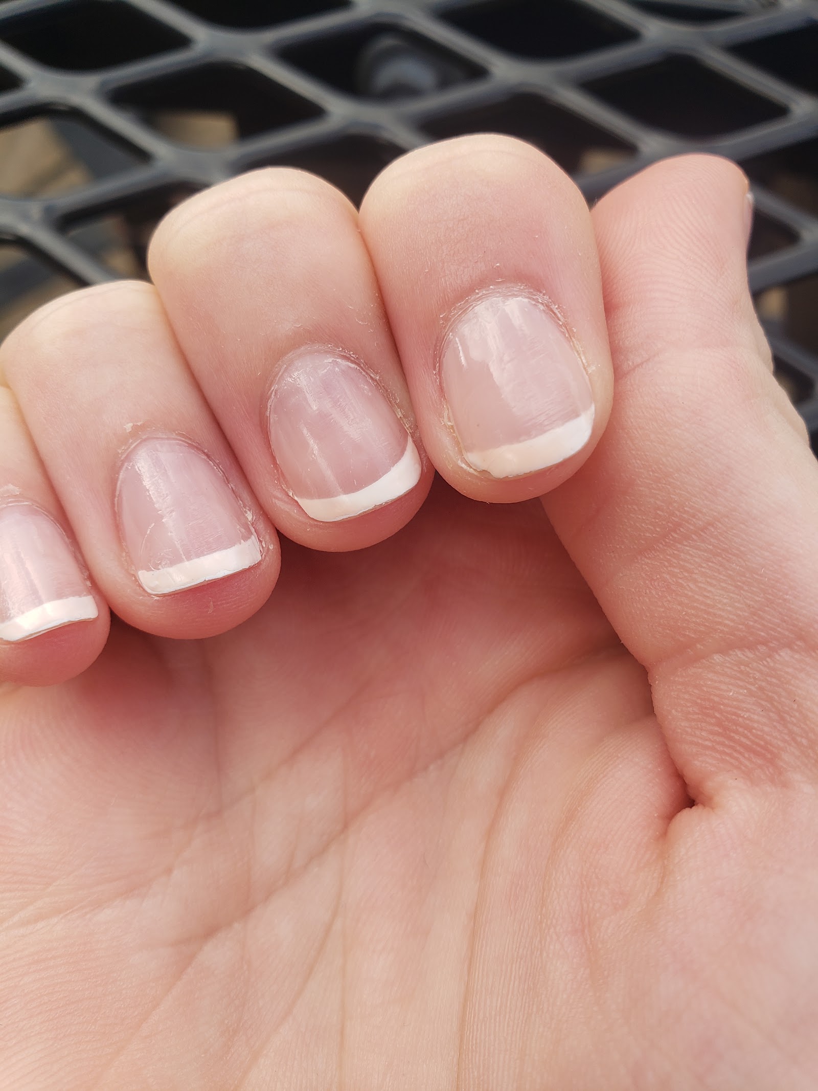 Sevva nail photo 7